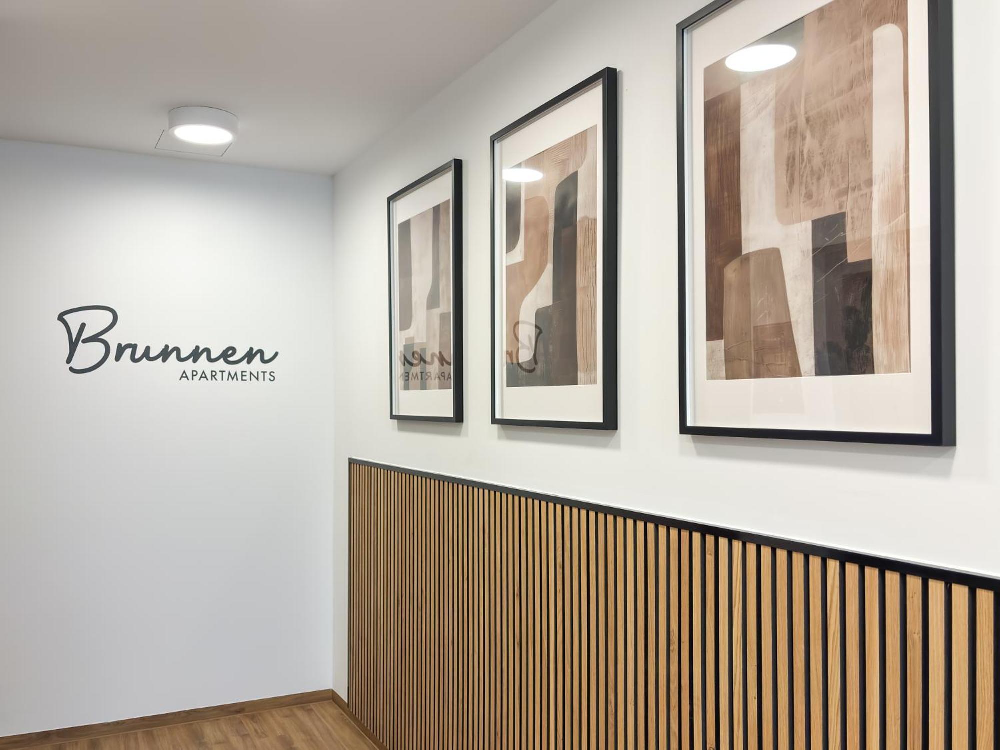 Brunnen Apartment *